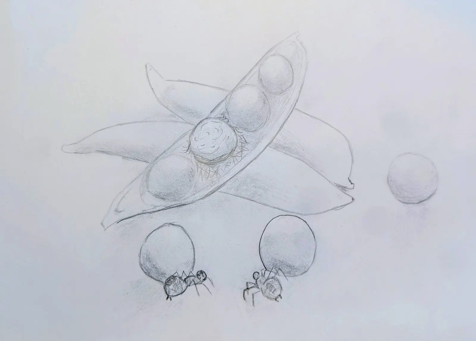 Game preview drawing