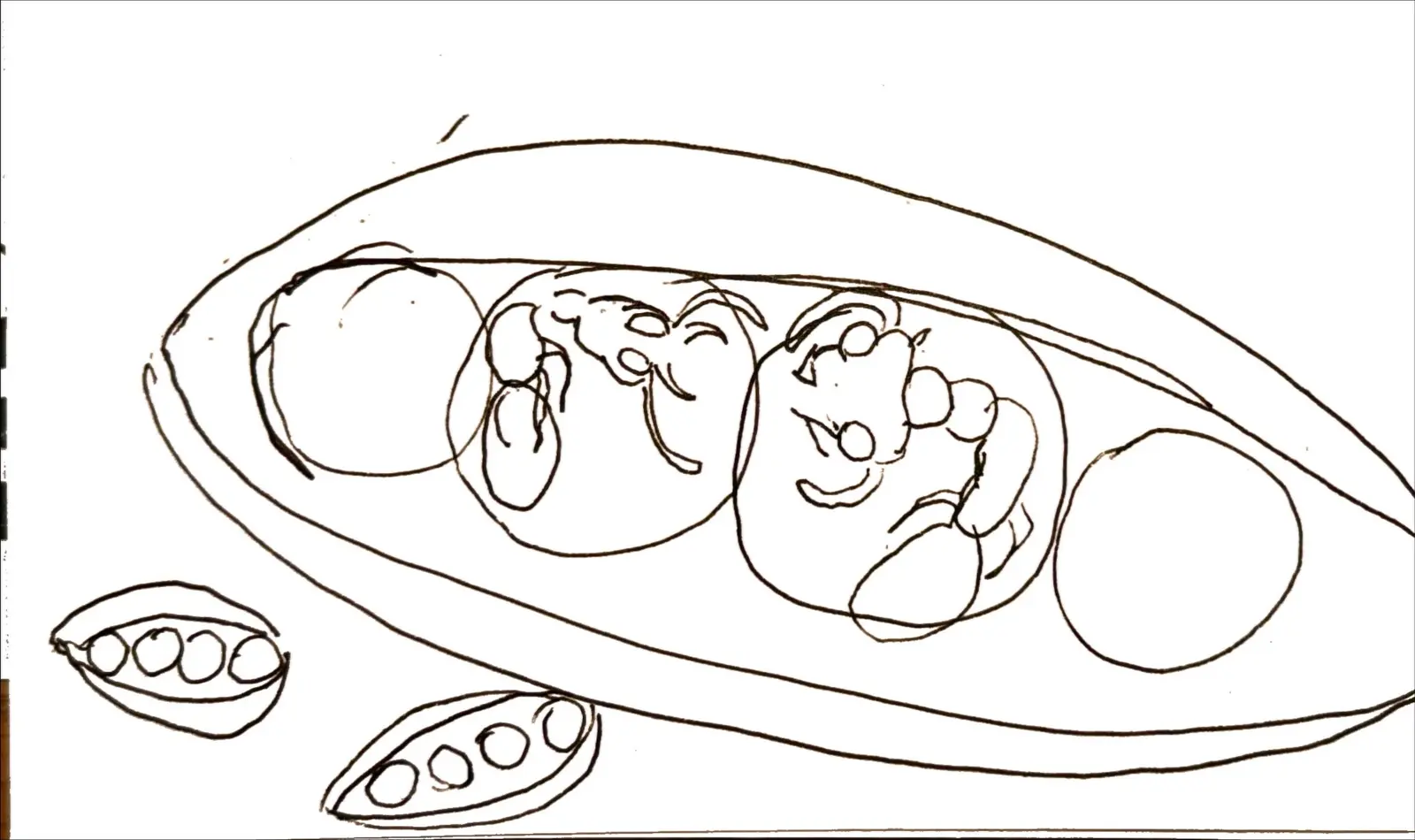 Drawing