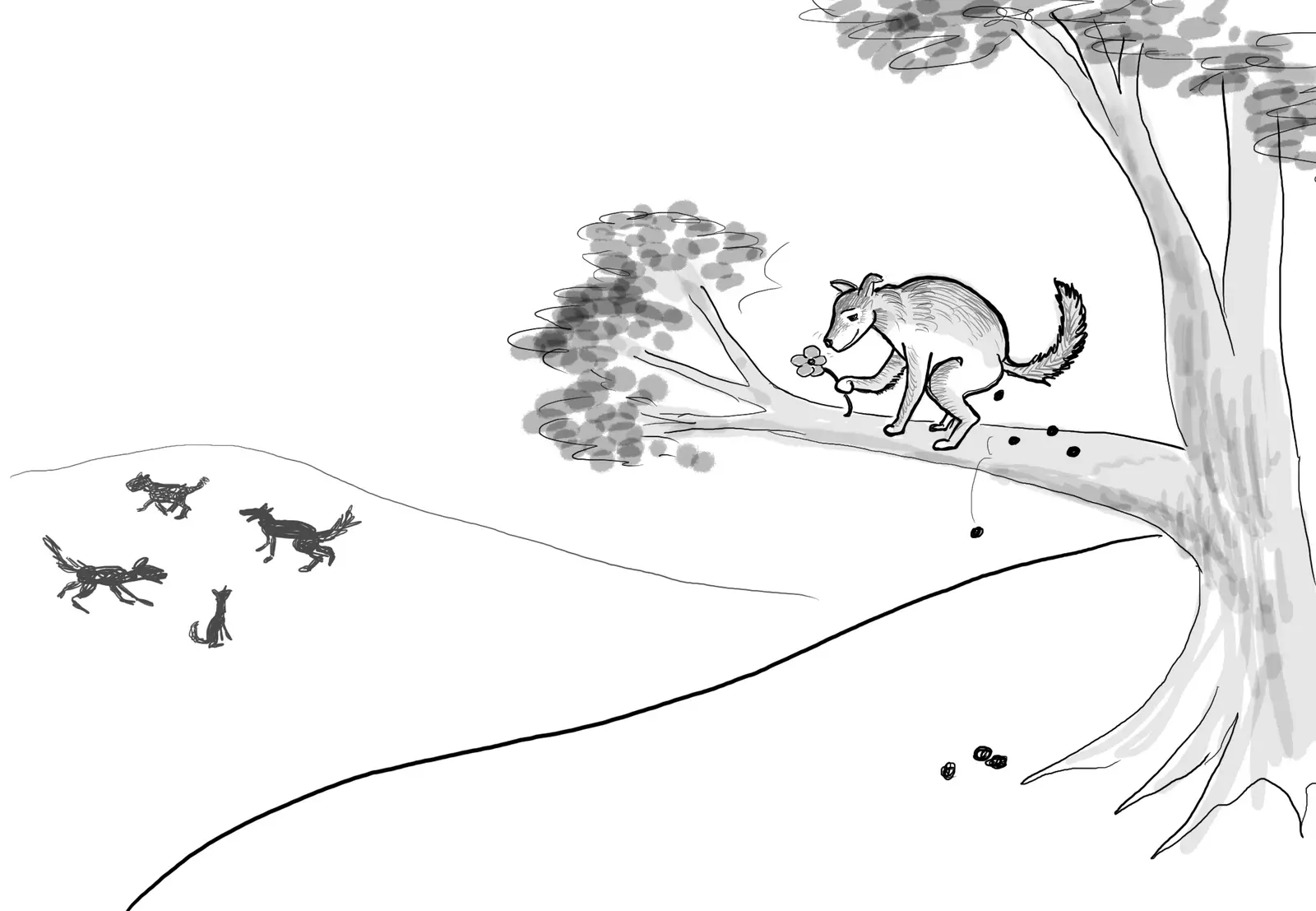 Drawing