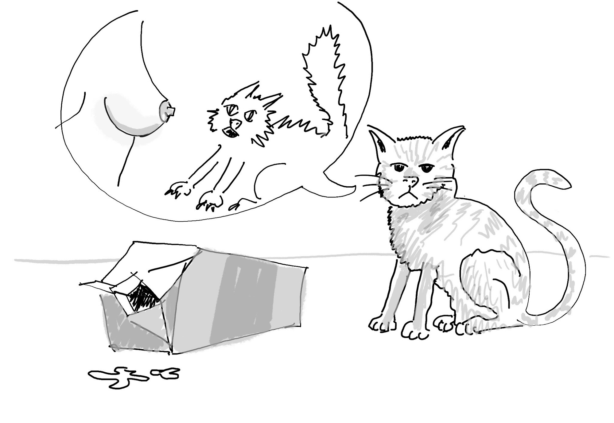 Game preview drawing
